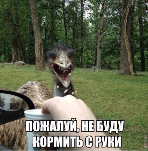 Ржачные приколы