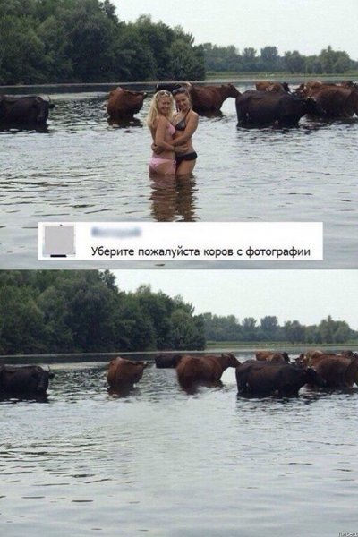 Угарные картинки приколы