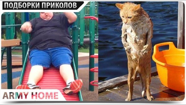 Приколы 2019 до слез