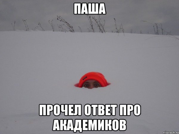 Паша лох мемы