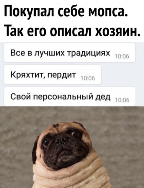 Анекдот про МОПСА