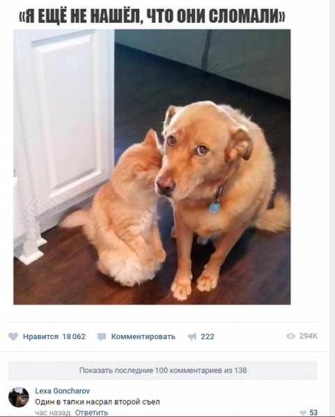 Прикольные коменты к фото