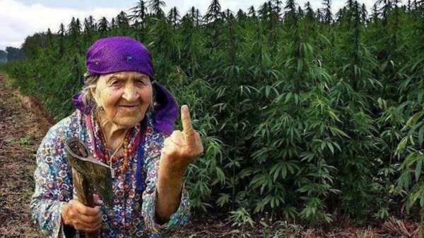 Иванушка дурачок и баба Яга