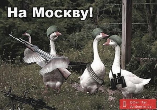 Армия гусей