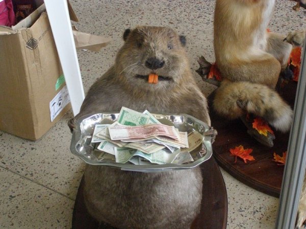 Хомяк с деньгами