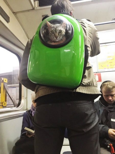 Смешные люди в метро