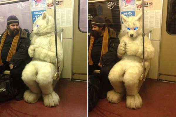Кот в метро прикол