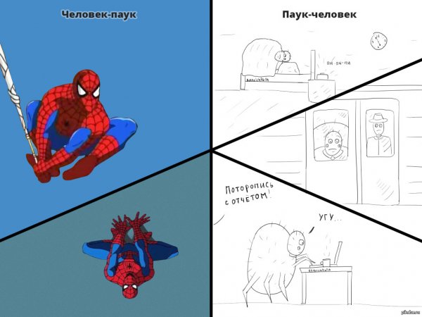 Смешные мемы про человека паука