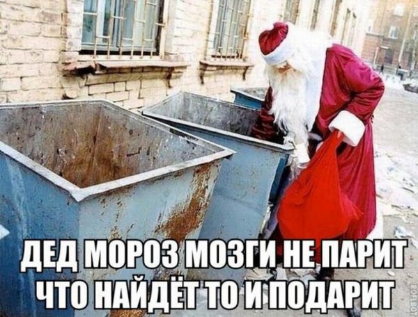 Дед Мороз роется в помойке