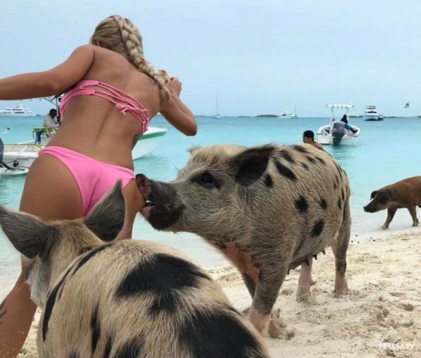 Пляж с людьми неудачные