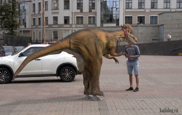 Новороссийск Мем