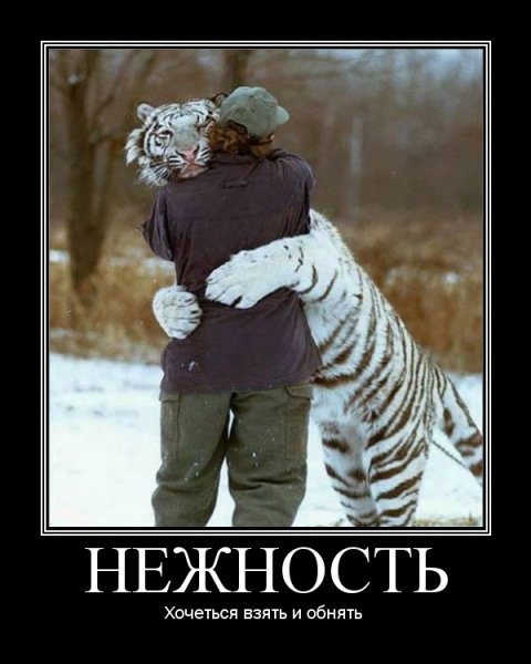 Демотиваторы хорошего настроения