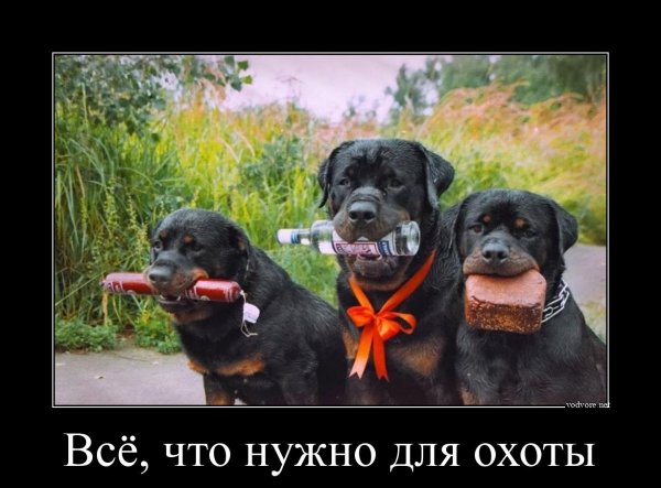 С днем рождения демотиватор