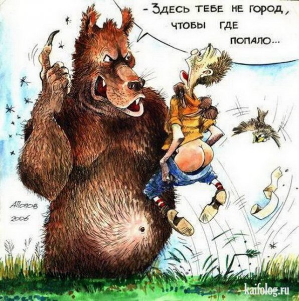 Анекдот про медведя