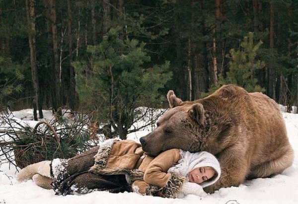 Медведь и человек в лесу