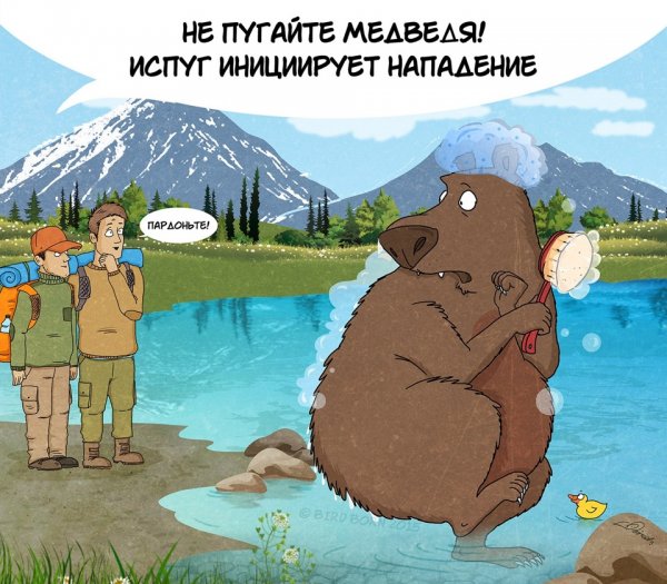 Встреча с медведем приколы