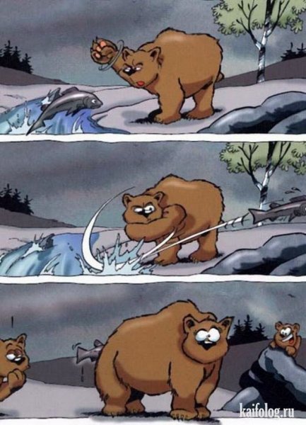 Прикол про медведведей
