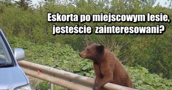 Экскурсия смешные картинки