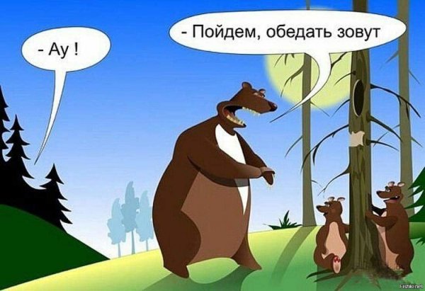Шутки про мишку