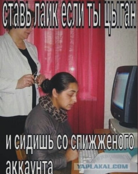 Приколы про цыганей картинки