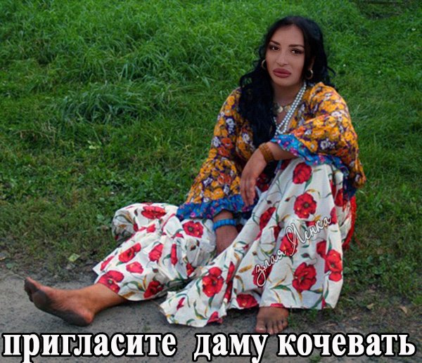 Шутки про цыган и коней