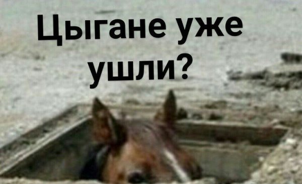 Цыгане Мем