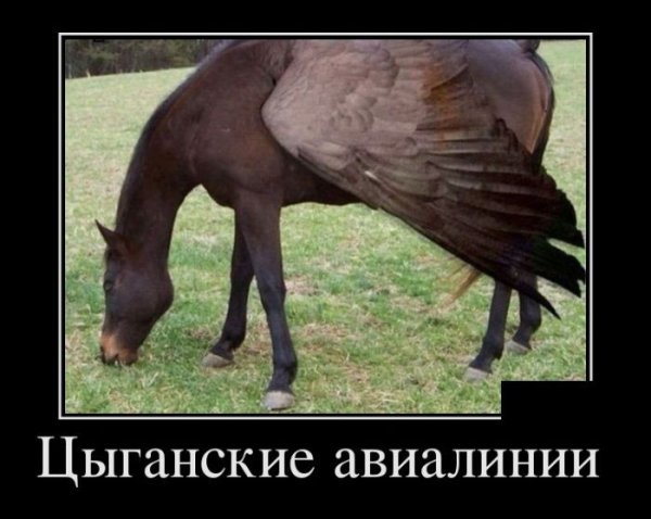Цыганка смешная