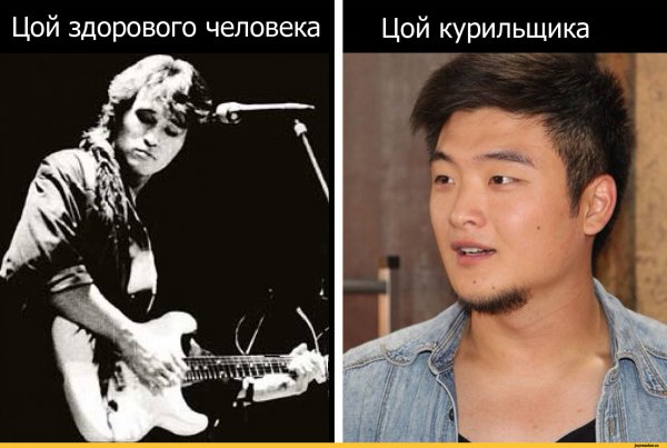 Цой мемы