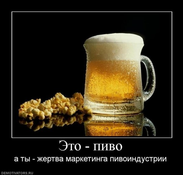 Прикольные факты о пиве