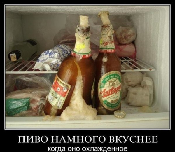 Пиво юмор