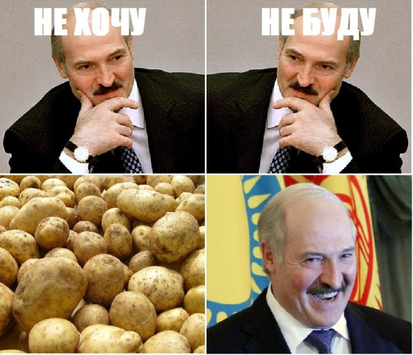 Лукашенко картоха