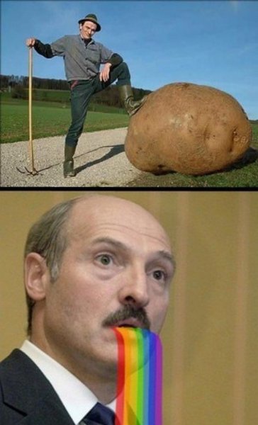 Александр Лукашенко мемы
