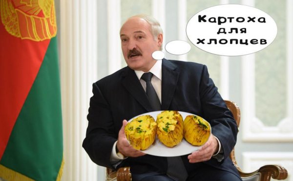 Коля Лукашенко усы