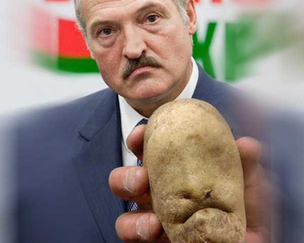 Шаржи на батьку Лукашенко