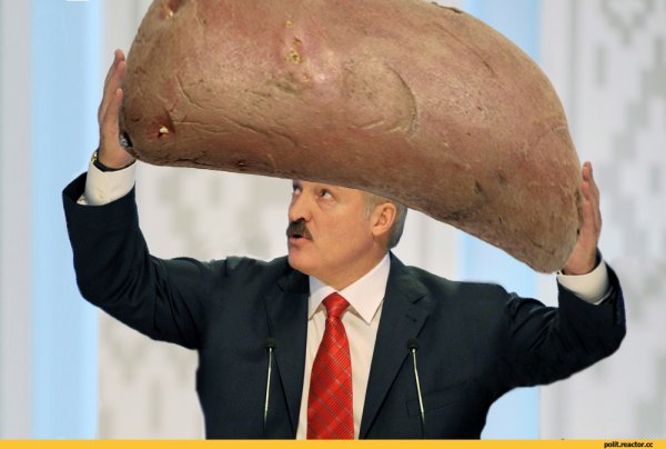 Александр Лукашенко Мем