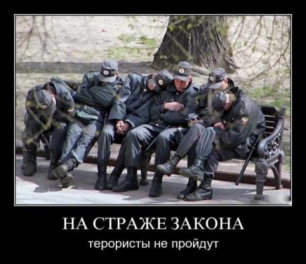 Полиция демотиваторы