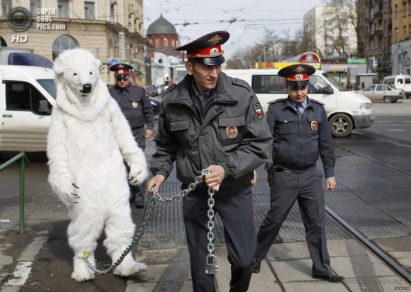 Полицейский прикол