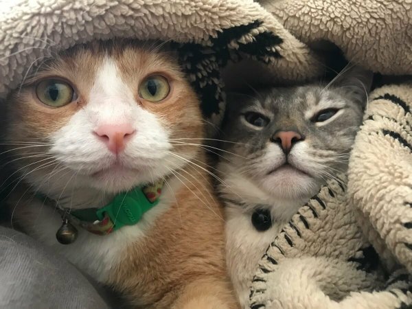Первый месяц отношений и спустя год