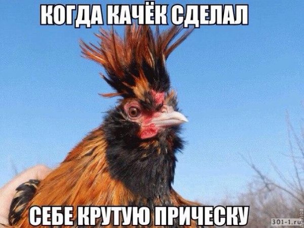 Мемчики смешные