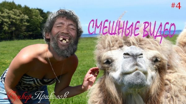Смешные приколы до слёз до РЖАЧА