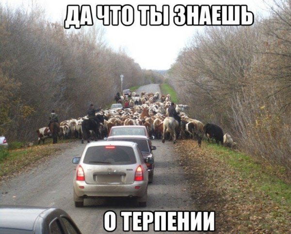 Автоюмор в картинках