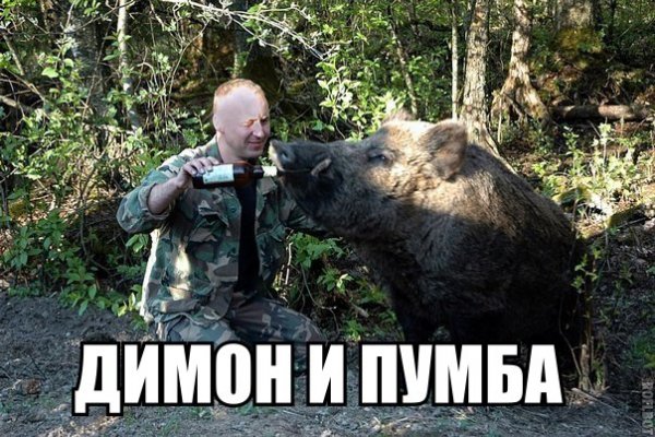 Кабаны Тянь-Шаня