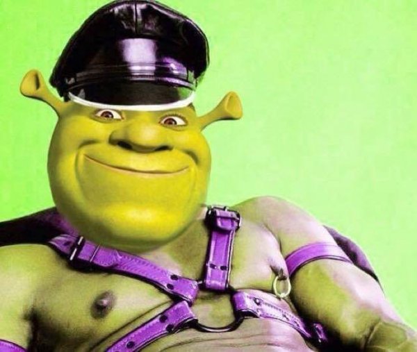 Шрек полицейский