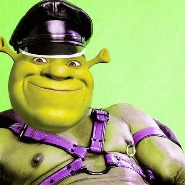 Шрек полицейский