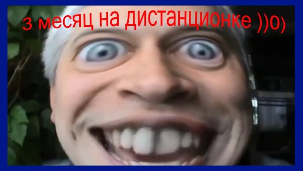 Геннадий Горин цветы