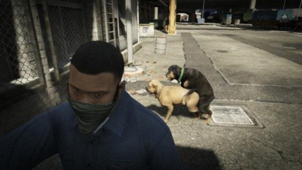 GTA 5 selfie