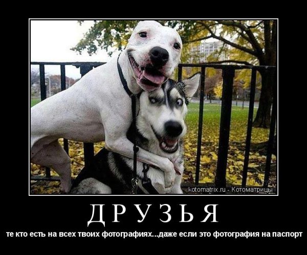 Приколы для друзей картинки