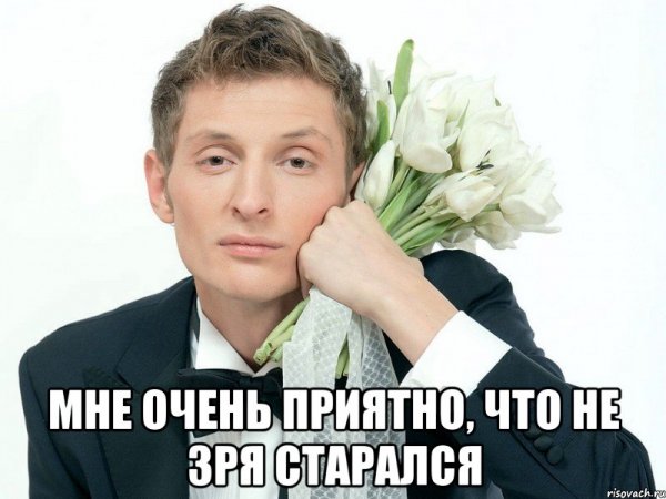 Павел Воля мемы