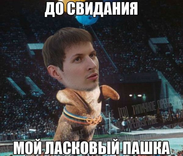 Приколы с именем Паша