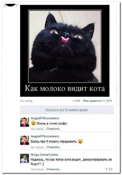 Веселые картинки с комментариями